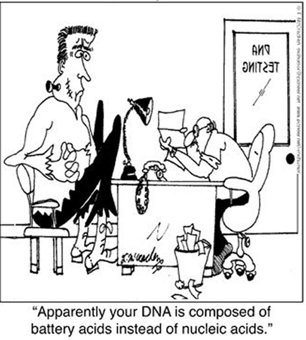 DNA